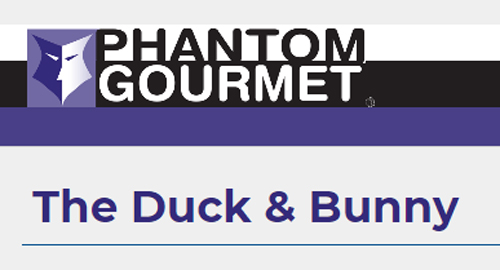 Phantom-duck